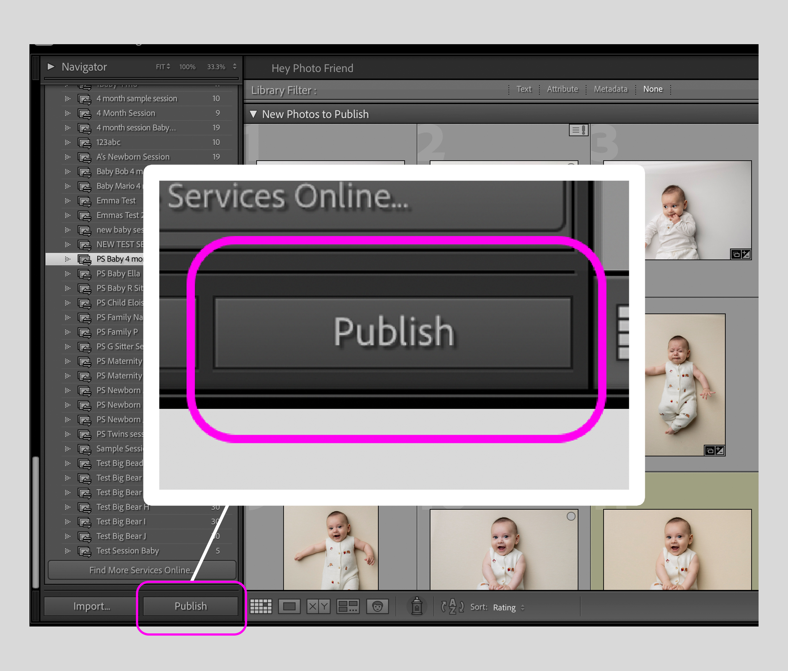 Click publish to create a gallery
